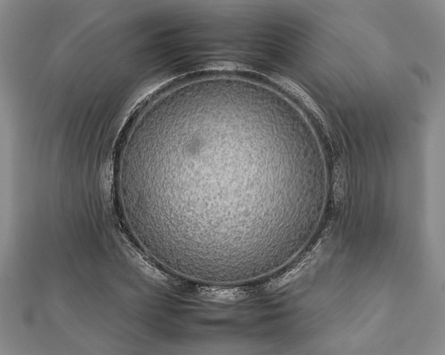 X0000112470831200908241231