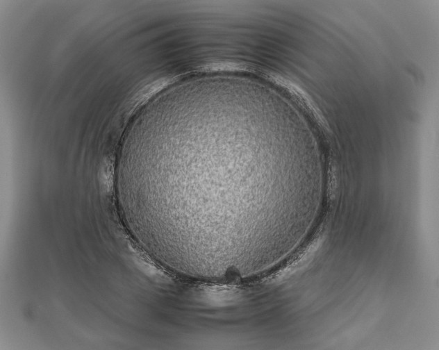 X0000112470833200908241231