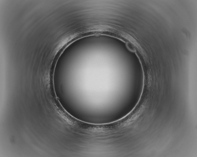 X0000112470834200908241231