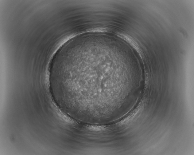 X0000112470835200908241231