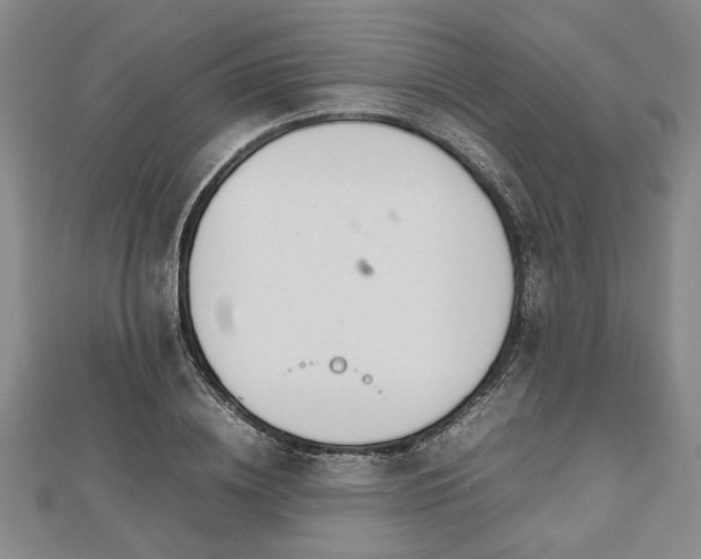 X0000112470836200908241231