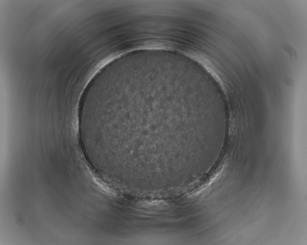 X0000112470837200908241231