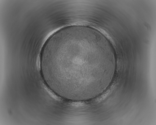 X0000112470838200908241231