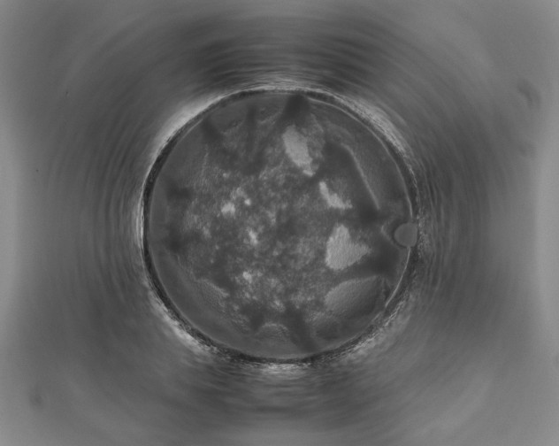 X0000112470839200908241231