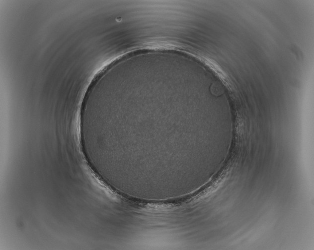 X0000112470840200908241231