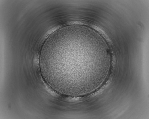 X0000112470841200908241231