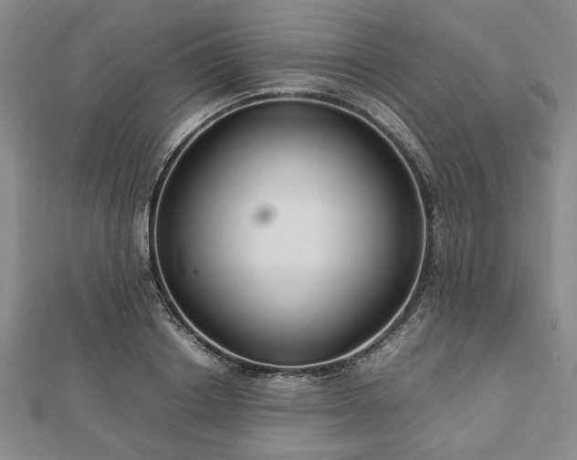 X0000112470842200908241231