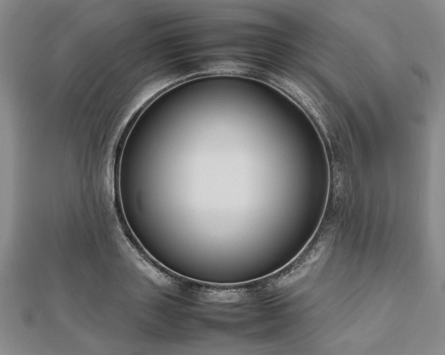 X0000112470843200908241231