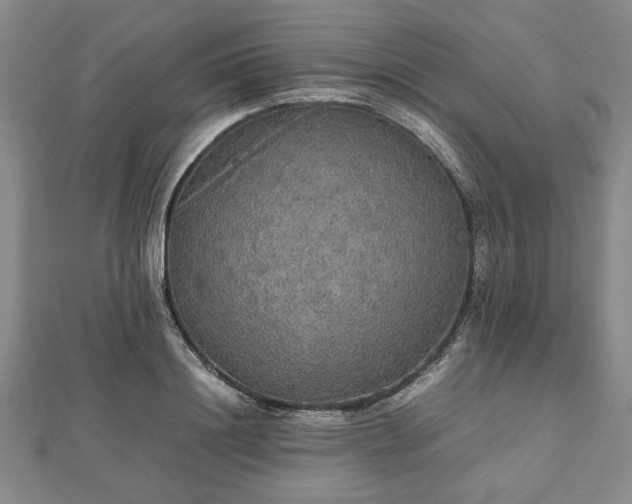 X0000112470844200908241231