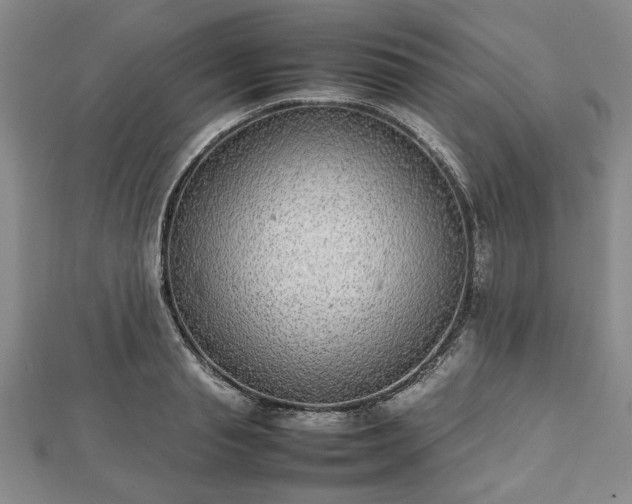 X0000112470845200908241231