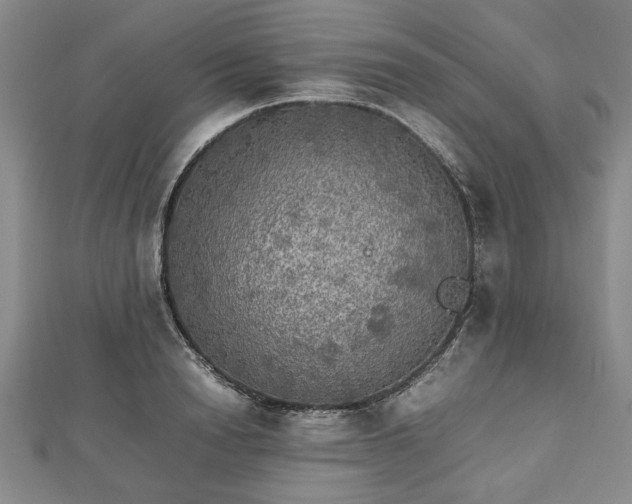 X0000112470846200908241231