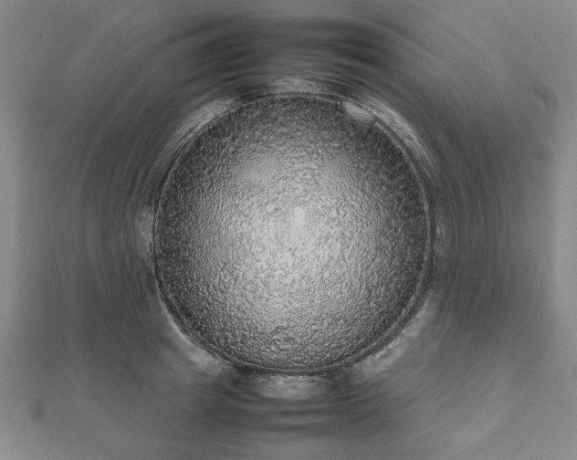 X0000112470849200908241231