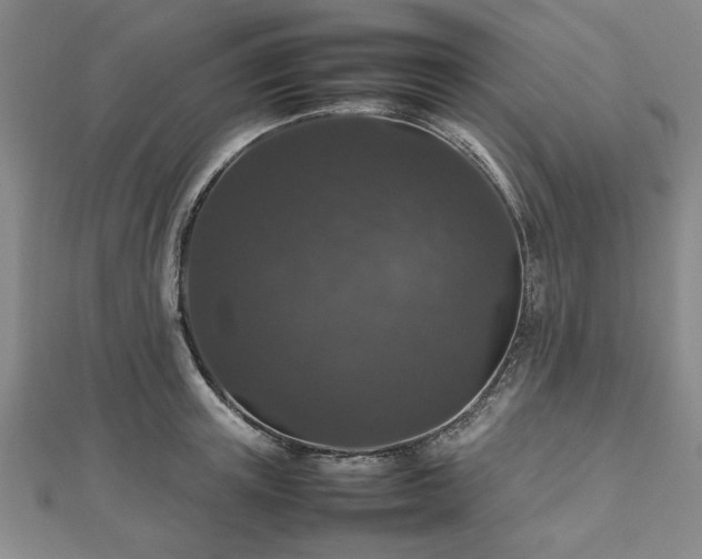 X0000112470851200908241231