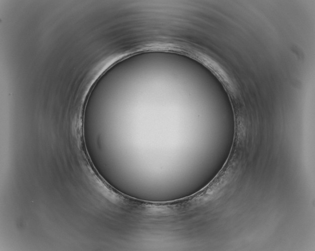 X0000112470852200908241231