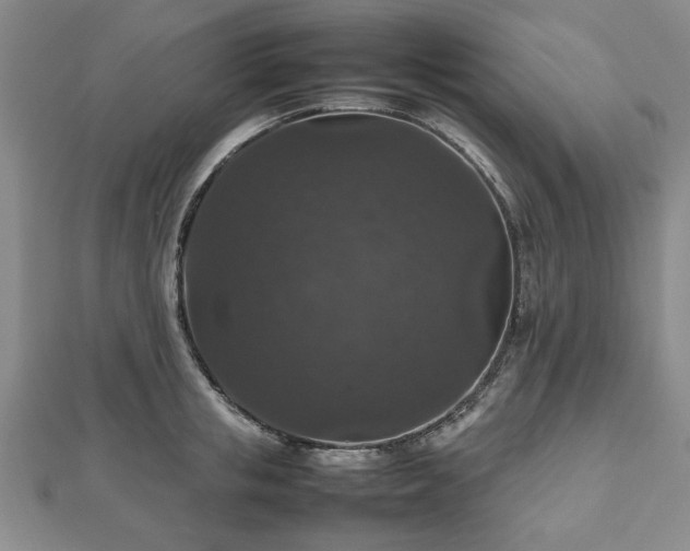 X0000112470853200908241231