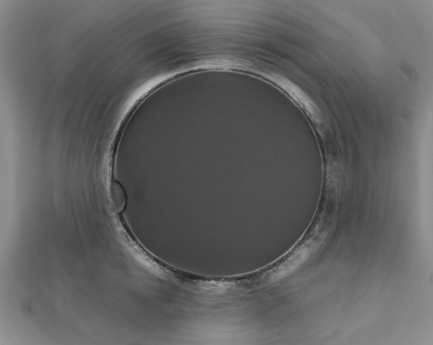 X0000112470854200908241231