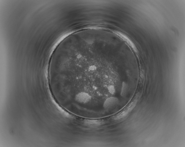 X0000112470855200908241231