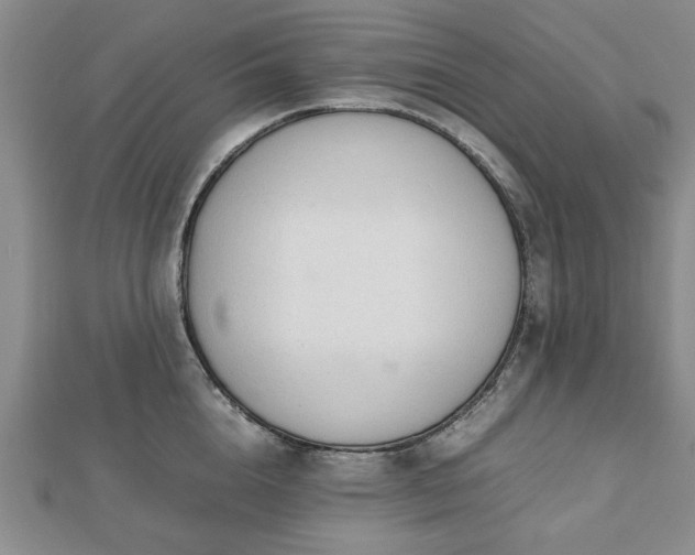 X0000112470856200908241231