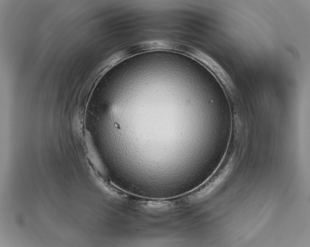 X0000112470857200908241231