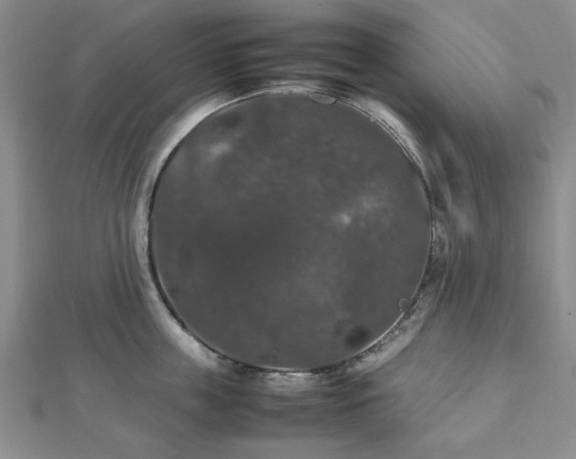 X0000112470859200908241231