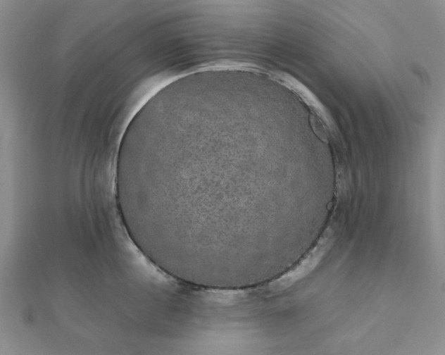 X0000112470860200908241231