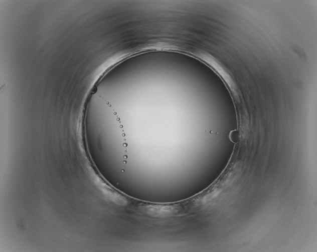 X0000112470861200908241231