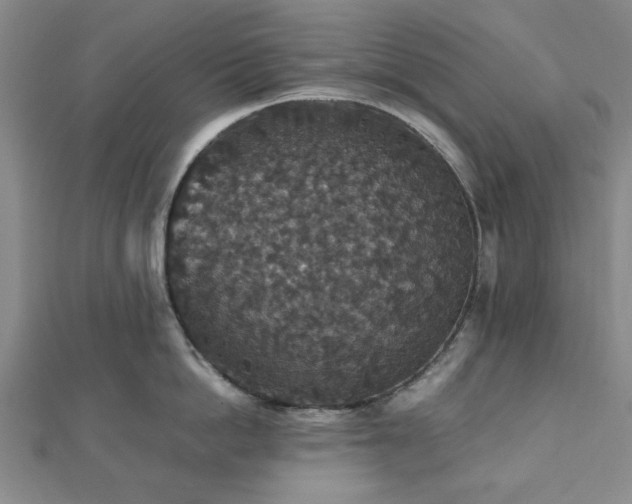 X0000112470862200908241231