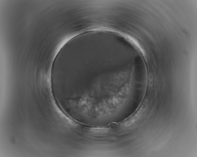 X0000112470863200908241231