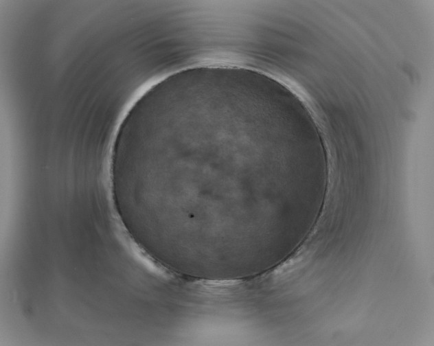 X0000112470864200908241231