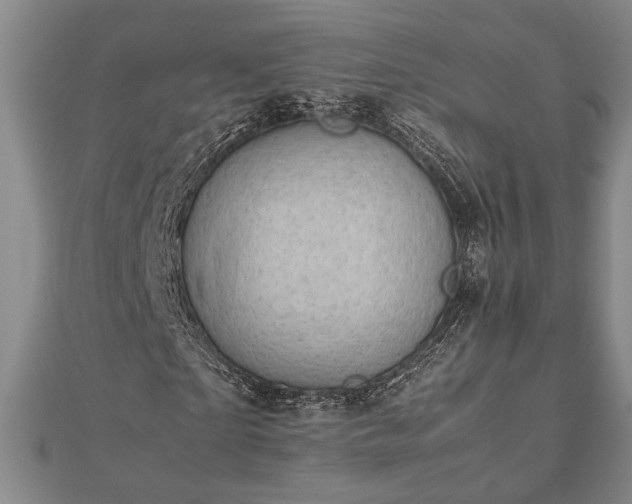 X0000112470865200908241231