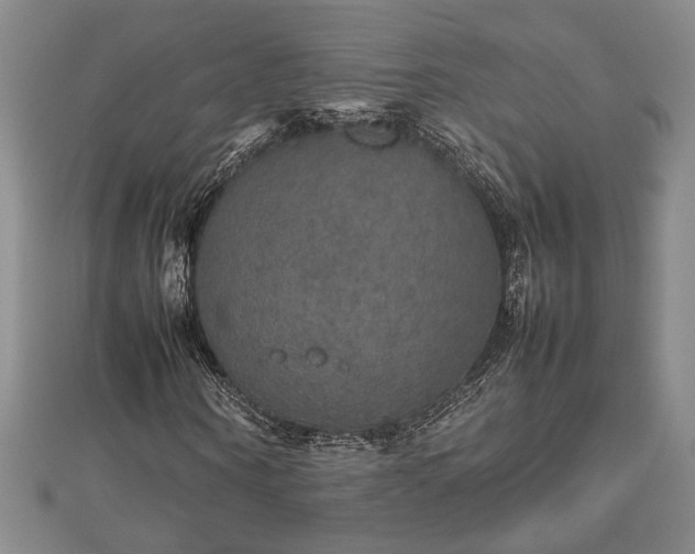 X0000112470866200908241231