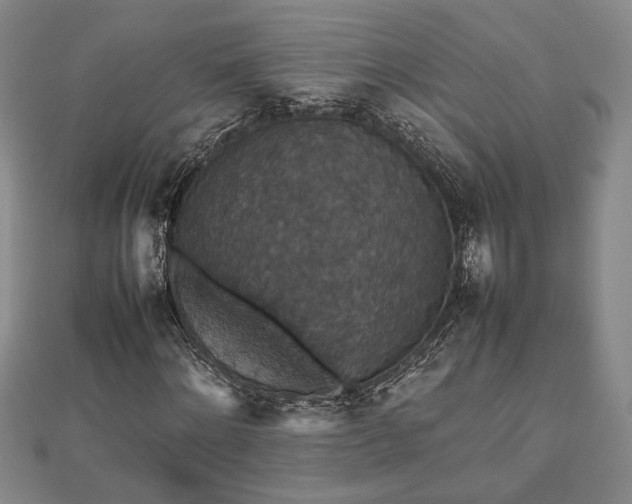 X0000112470868200908241231