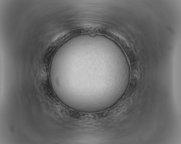 X0000112470869200908241231