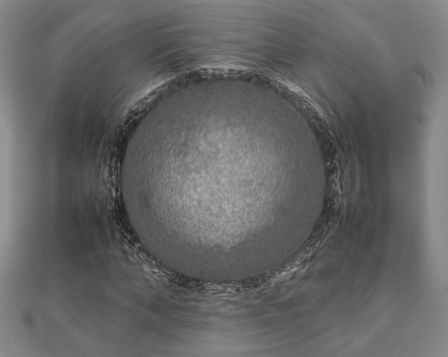 X0000112470870200908241231