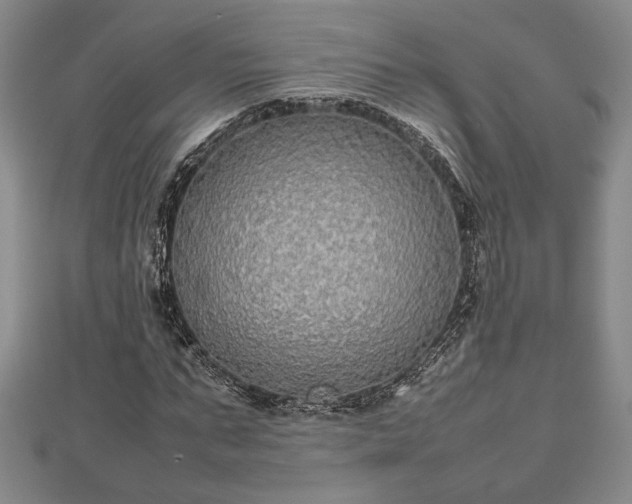 X0000112470871200908241231