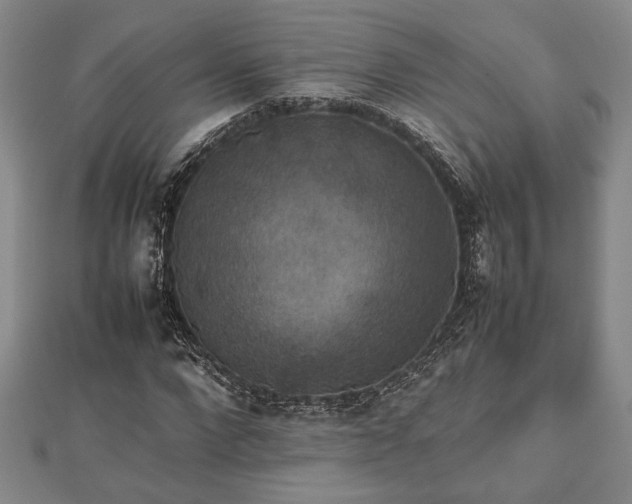 X0000112470872200908241231