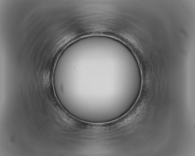 X0000112470873200908241231