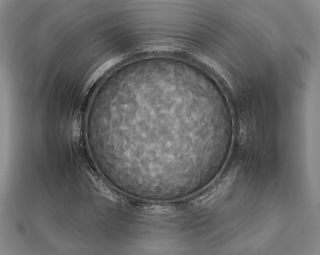 X0000112470874200908241231