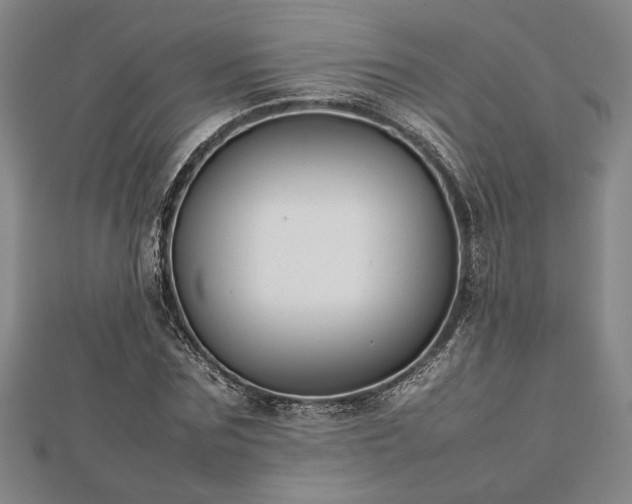 X0000112470875200908241231