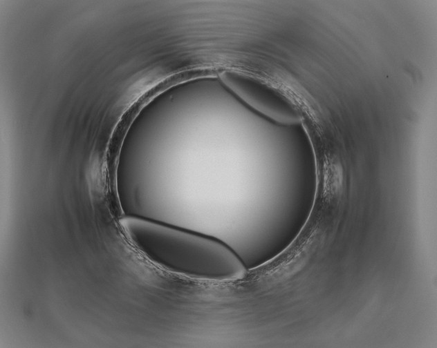 X0000112470876200908241231