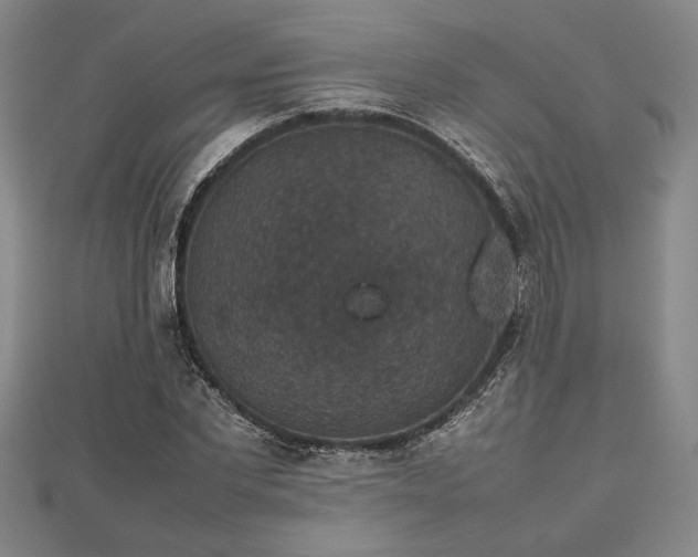 X0000112470877200908241231