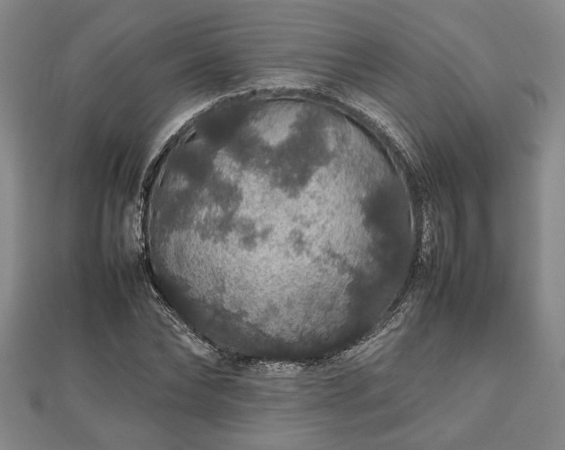 X0000112470878200908241231