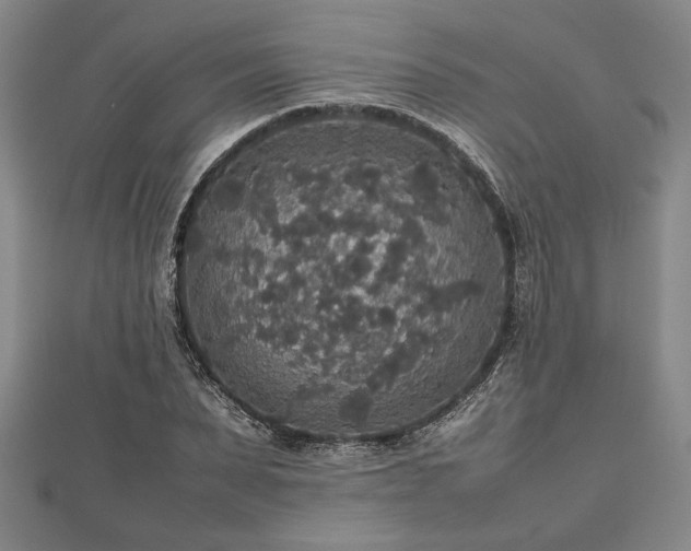 X0000112470879200908241231