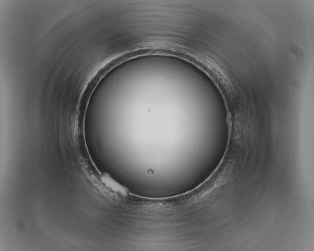 X0000112470880200908241231