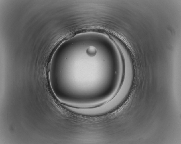 X0000112470881200908241231