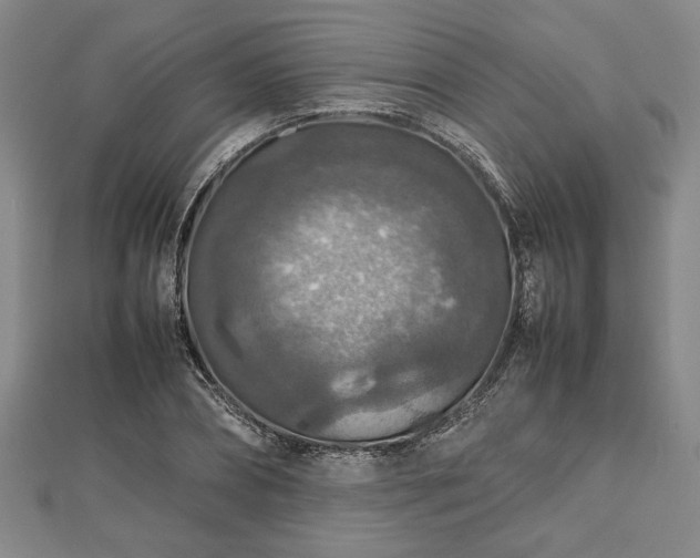 X0000112470882200908241231