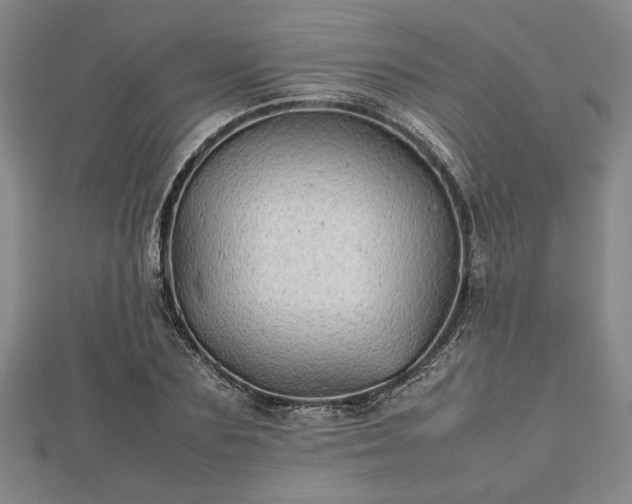 X0000112470883200908241231