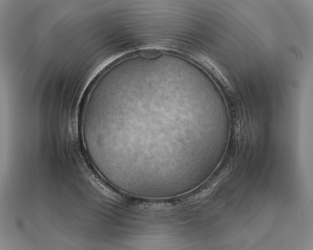 X0000112470884200908241231