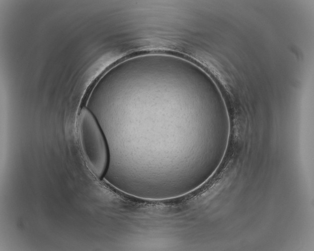 X0000112470885200908241231