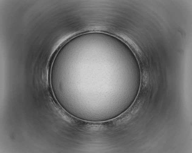 X0000112470886200908241231